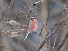 見つかっちゃった！
