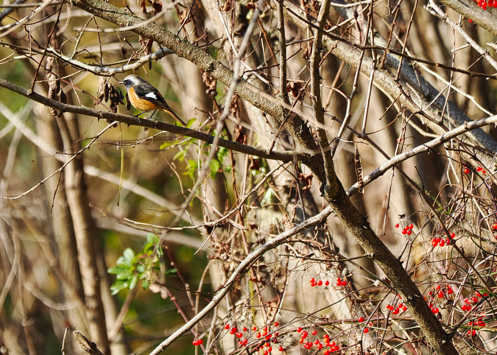 誘惑に負けない！