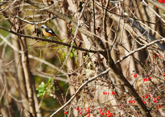 誘惑に負けない！