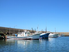 青・青の漁港