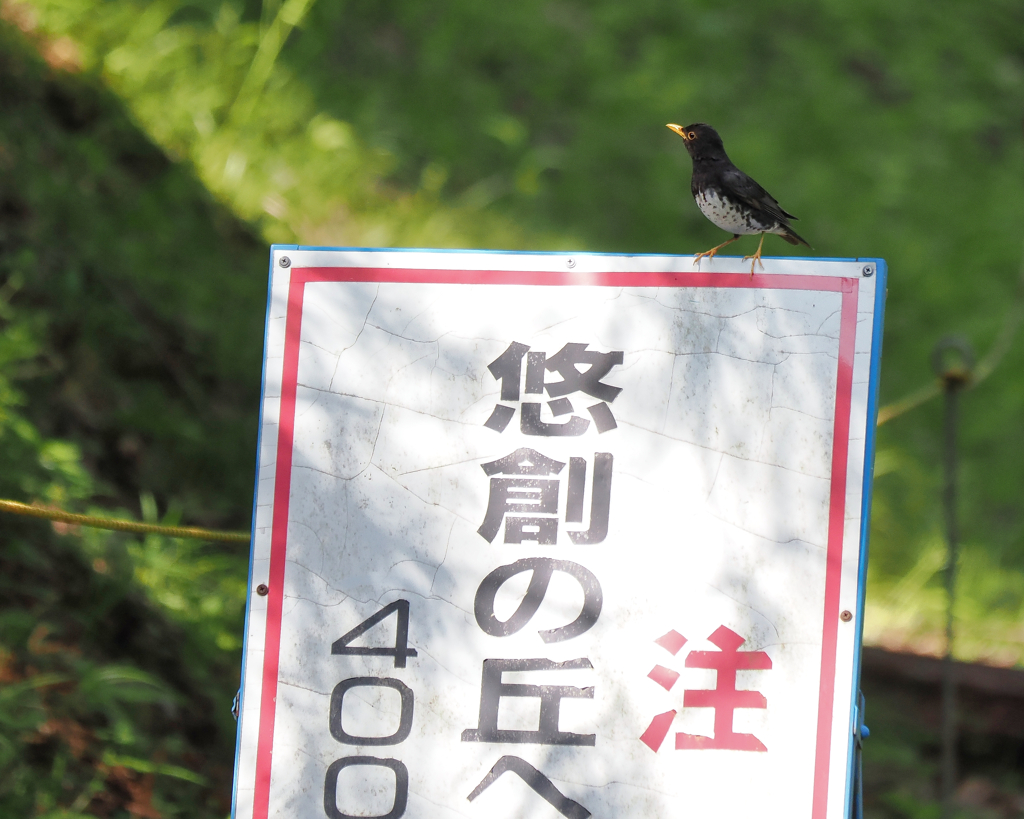 注意！