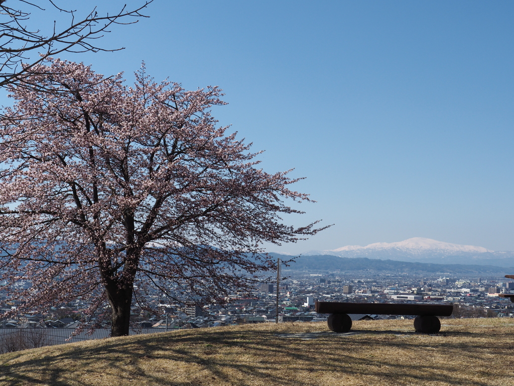 月山と桜