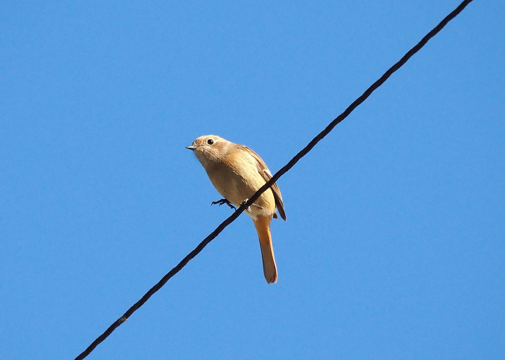 会えました!(^^)!