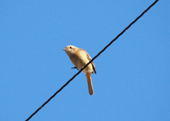 会えました!(^^)!