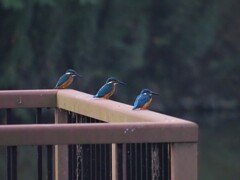 ソーシャルディスタンス