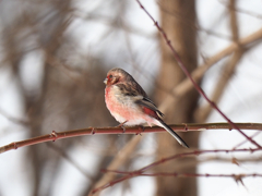 気付いてない様子