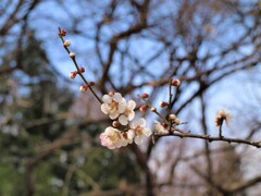 鳥撮りの合間に