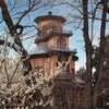 旧山形市立病院「済生館」
