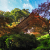 立石寺　仁王門