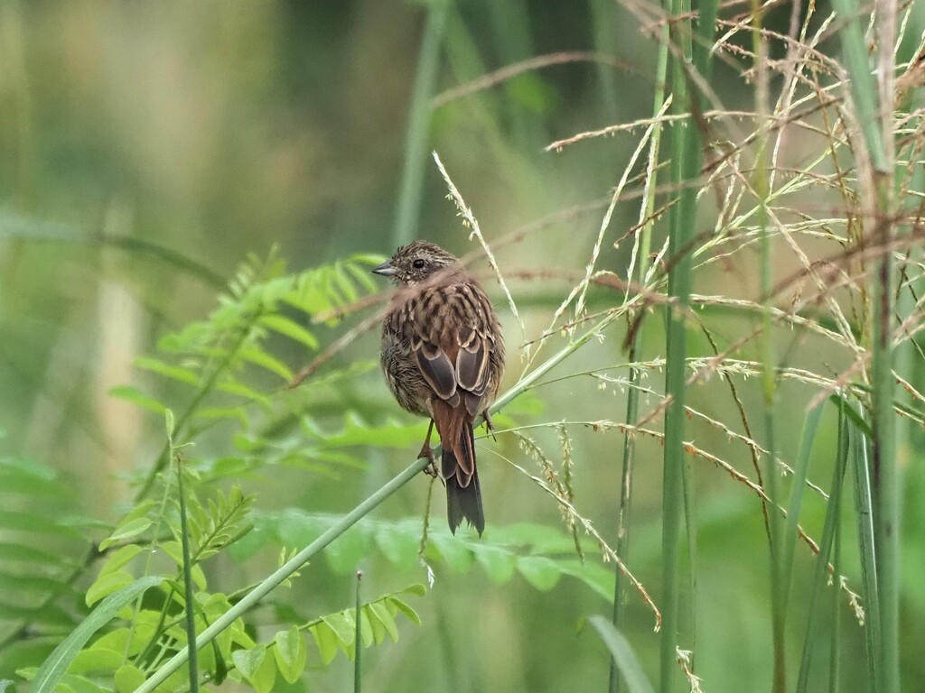秋ですね