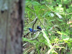 ボケボケでした(/o＼)