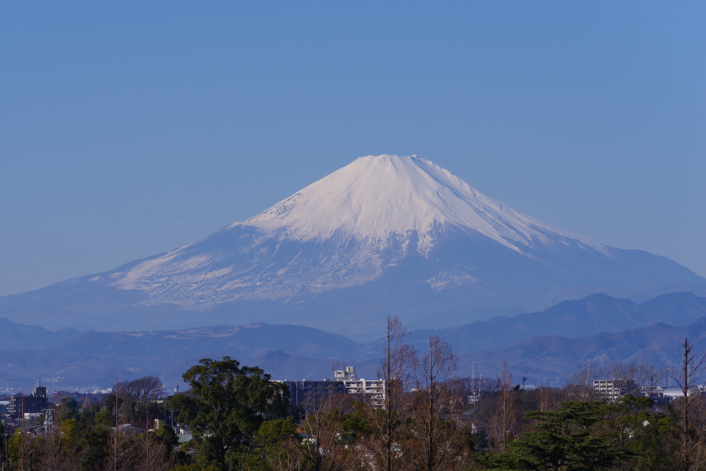 富士山