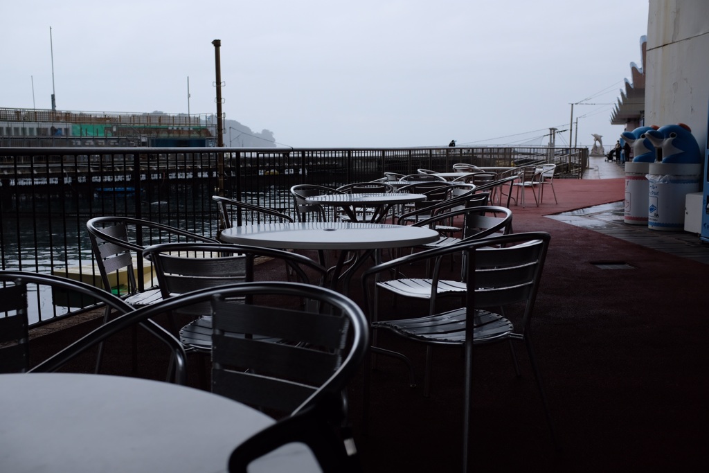 雨の三津シーパラ。