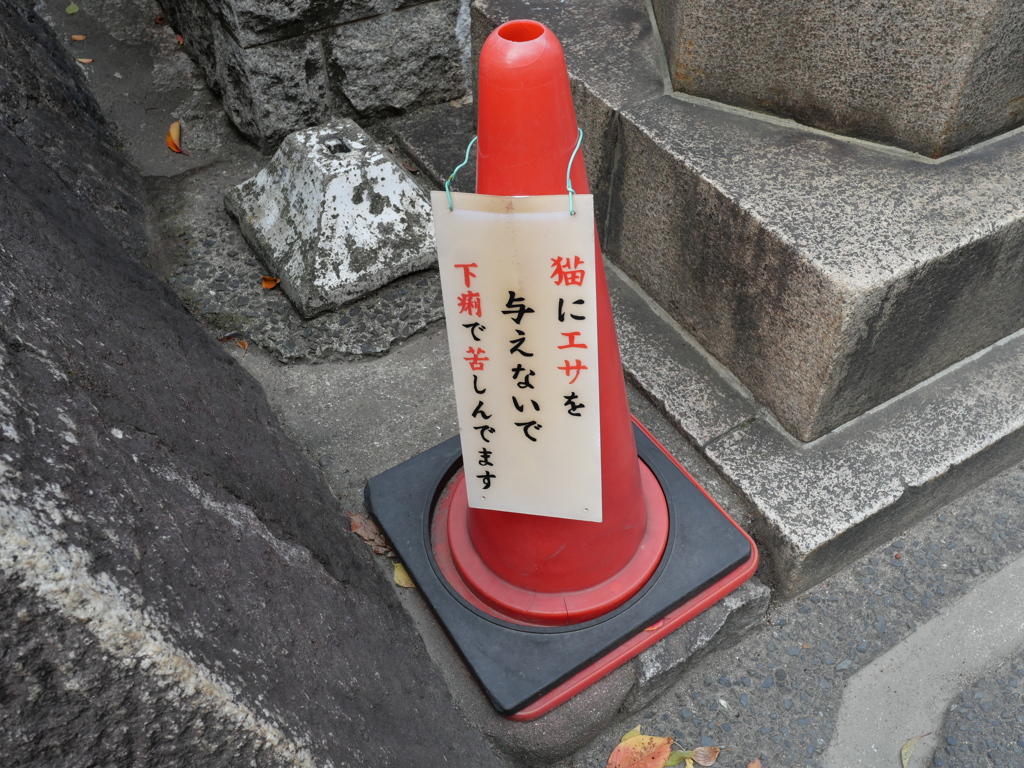 じゃあなんか腹にええもんを(違