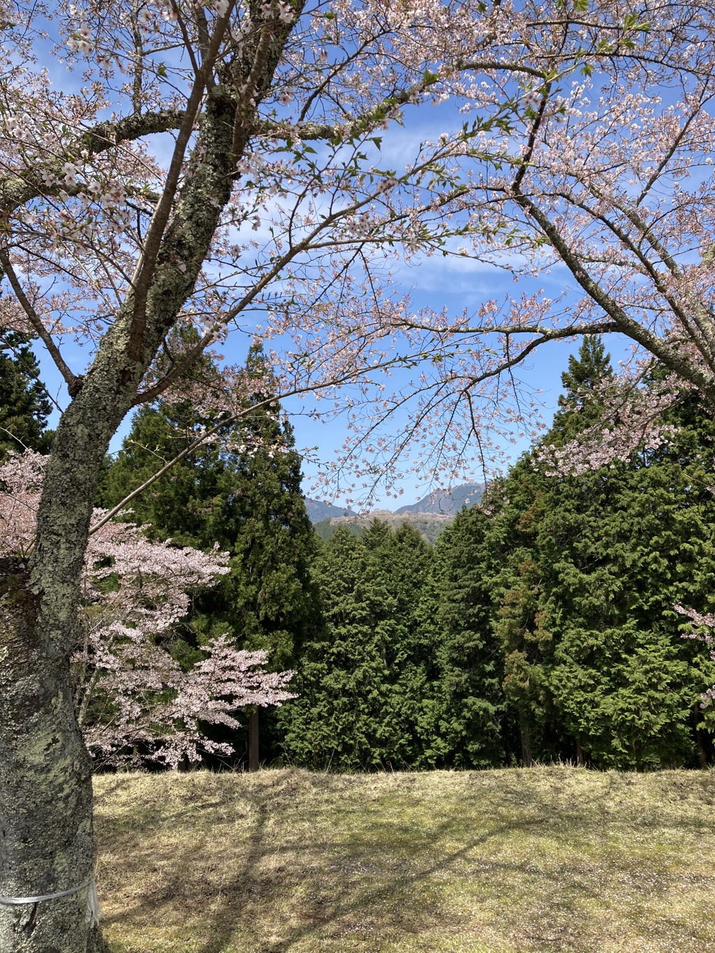 竹田城