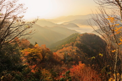 紅葉