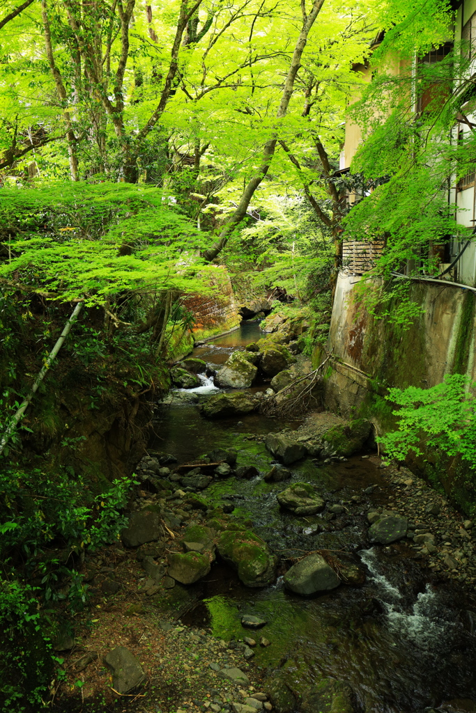 京の山奥