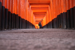 紅葉の代わりに
