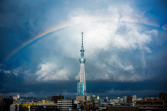 Skytree&Rainbow