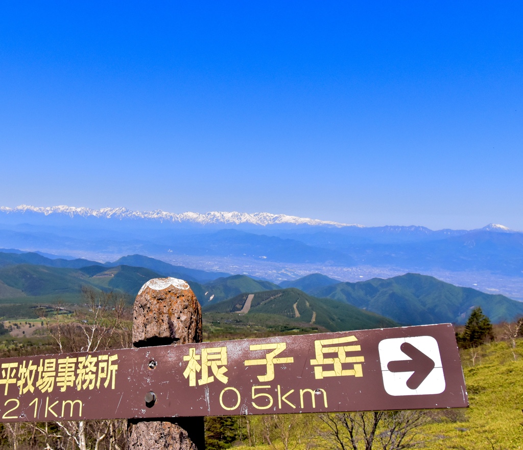 春の根子岳までもう少し