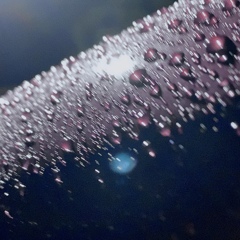 水