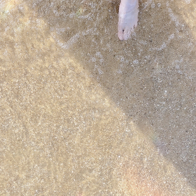 海