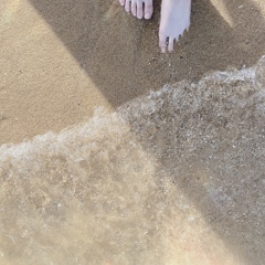 海