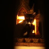 タイの黒猫 祠の前で隙間から撮影