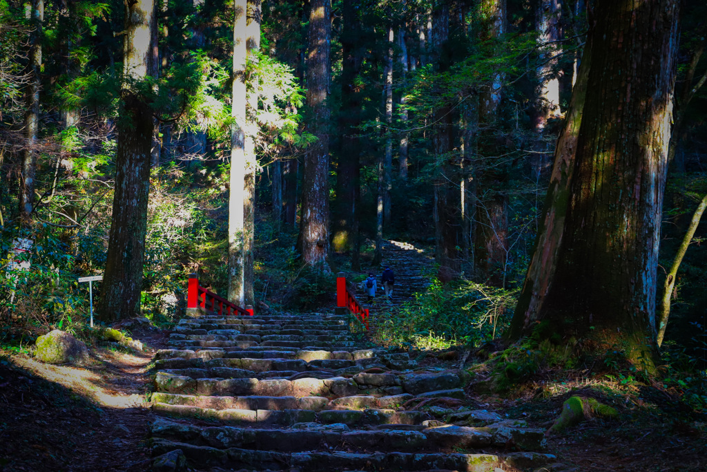 お寺につながる山道