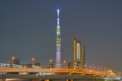 スカイツリーにゃ