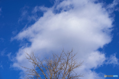 大きな雲