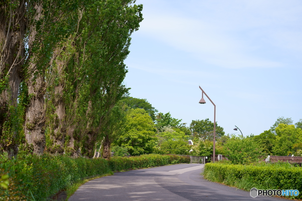 青空エールロケ地１