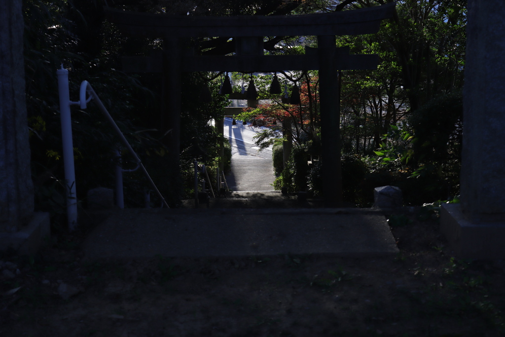 参道下る