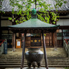新井山 梅照院