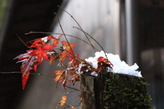 9577620E-C22E-41F6-94A8-70BFA46008DD