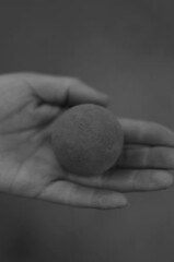 dorodango