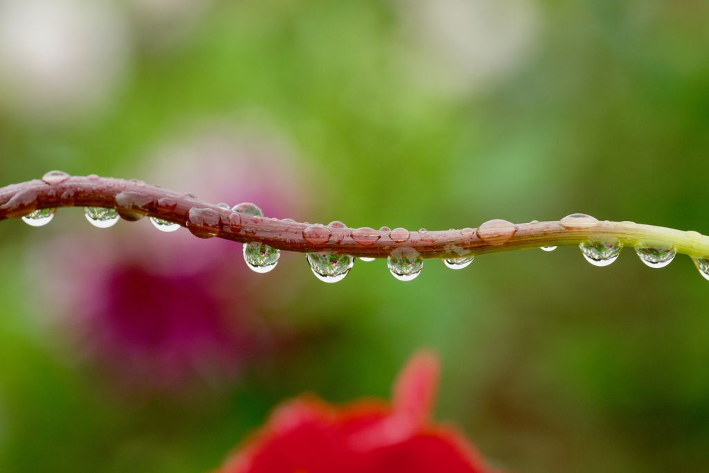 雨の日