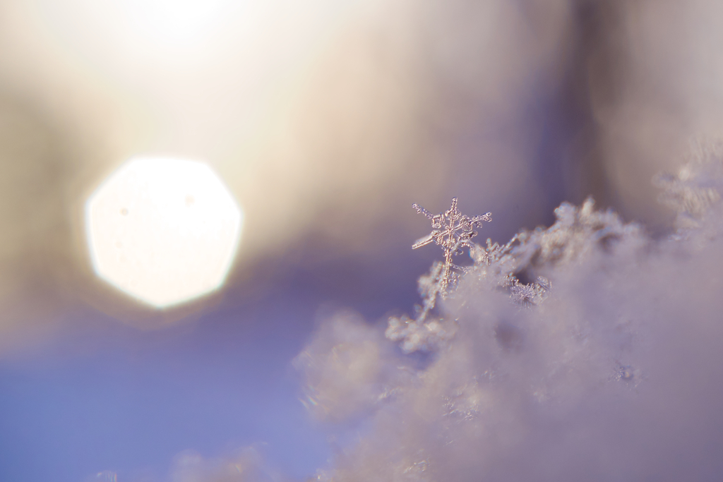 雪の結晶と朝日