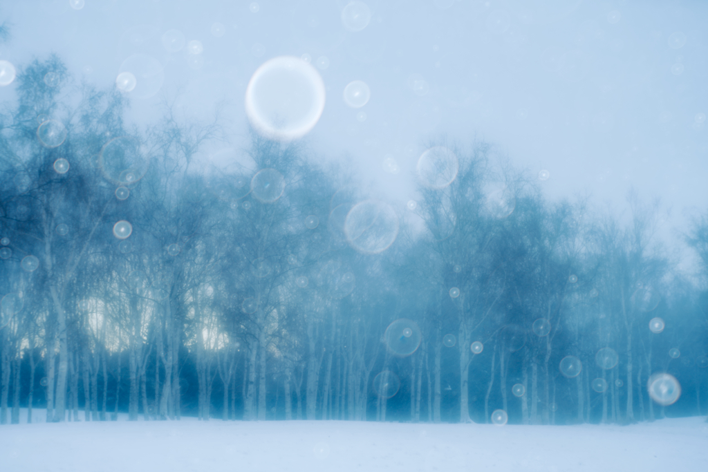 雪の朝
