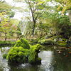 懐古神社 池