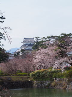 春～小田原城