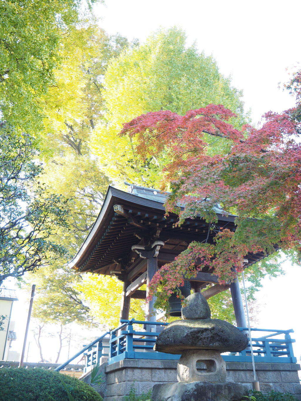 銀杏と紅葉