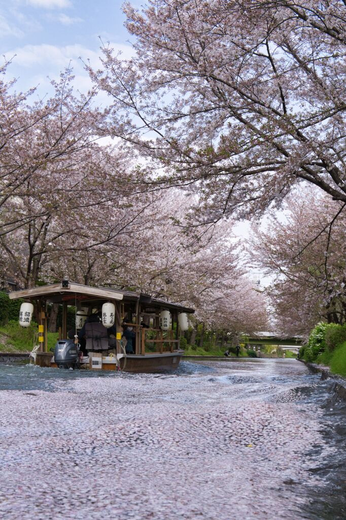 荒々しくも進む