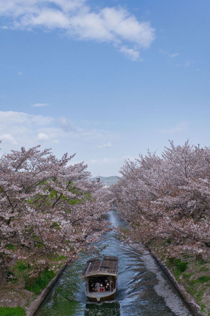 青空の屋形船