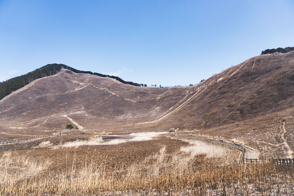 曾爾高原