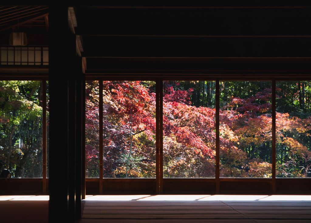 天寿庵の秋