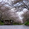 春の終わり