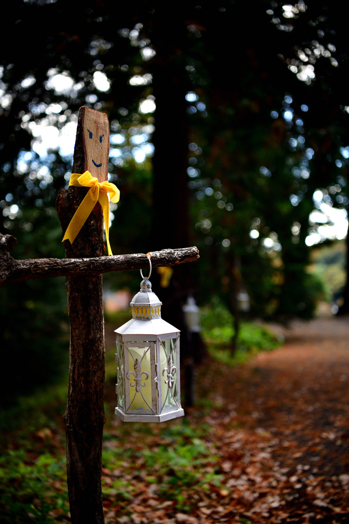 Tree man's lantern