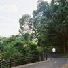 夏休み