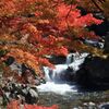 大滝神社の紅葉4